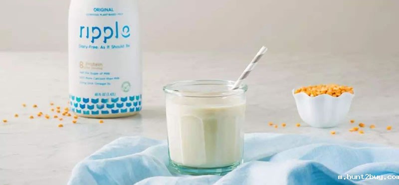 酶解后的豌豆蛋白粉应用