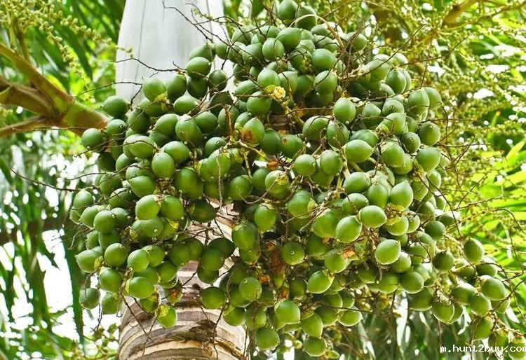 a3e0dbffa4090a141b80651e4b4a87e4