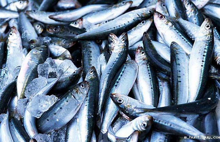 78241d9e2b2e3415380cf41d50c033cd