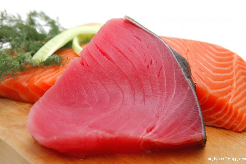 宠物诱食剂制备原料