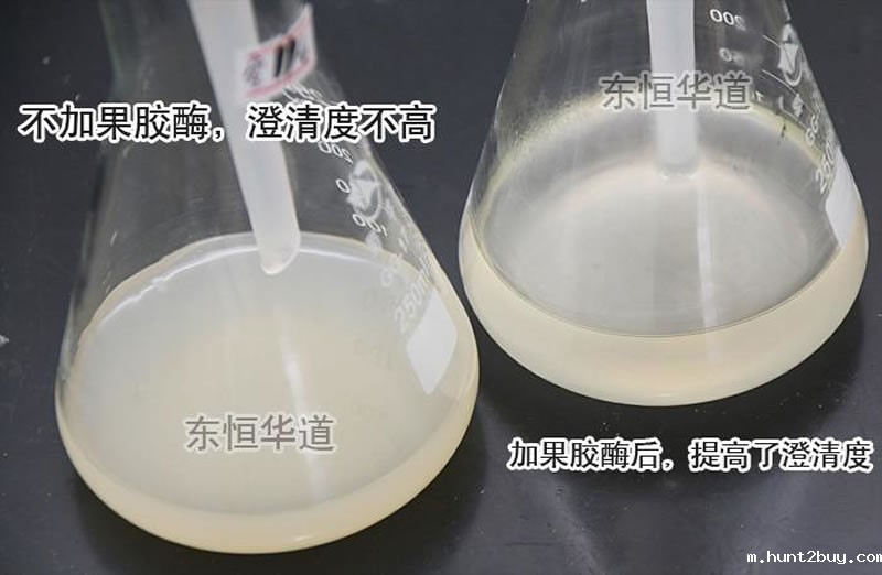 图酶制剂在果汁加工中的应用