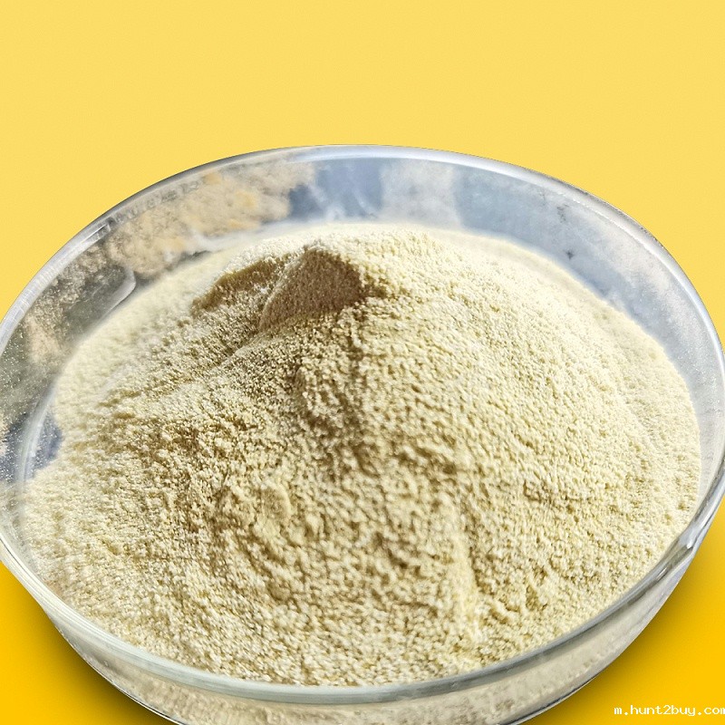 Fungal alpha-amylase