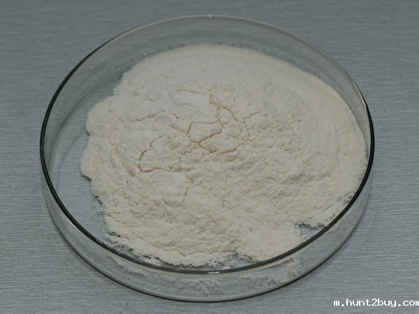 纤维素酶 cellulase