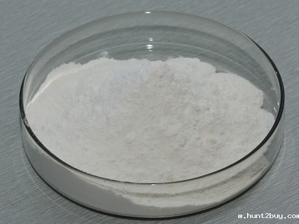 中温α-淀粉酶 Temperature α-Amylase