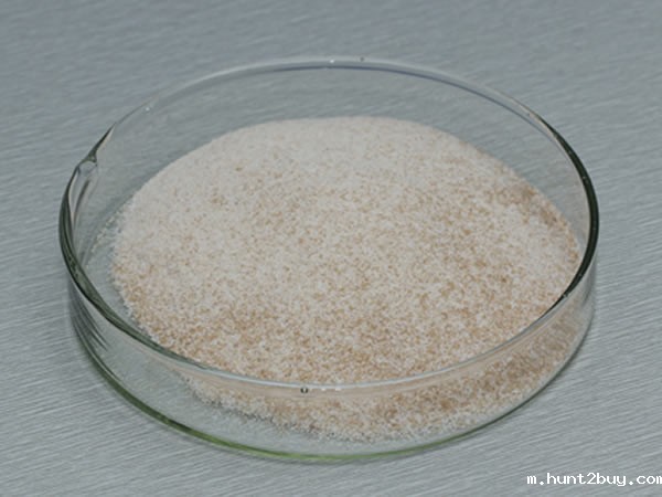 风味酶（氨肽酶，复合风味蛋白酶）Flavourzyme