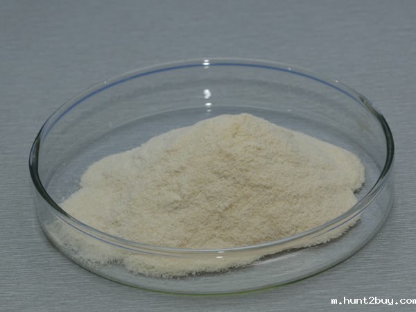 糖化酶 Glucoamylase