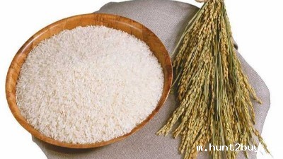 酶解法----解密提高大米蛋白溶解性的好方法