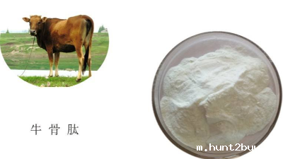 蛋白酶解技术助力牛骨蛋白酶解呈味肽品质升级