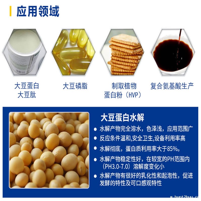 大豆肽运用领域