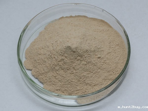 海参水解酶（海参多肽提取酶）