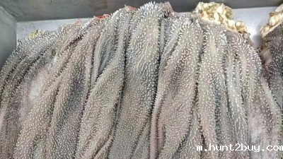 木瓜蛋白酶水发干毛肚的工艺