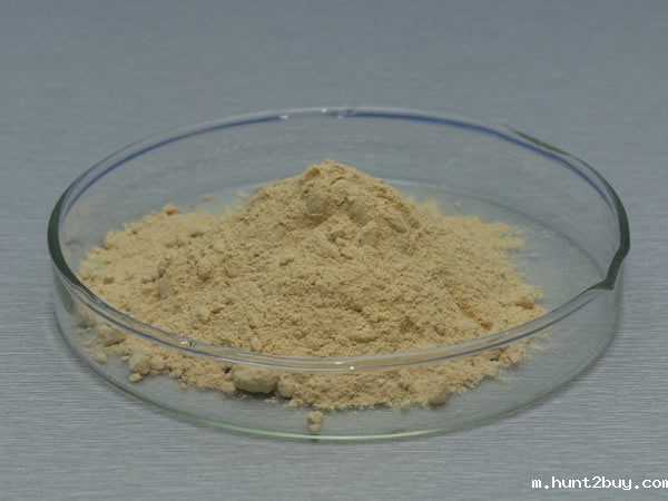 葡萄糖氧化酶 Glucose Oxidase