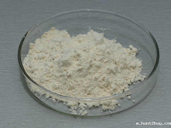 真菌α-淀粉酶 Fungal Amylase
