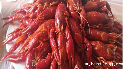 做酶好事业，享酶好生活，品酶力美食