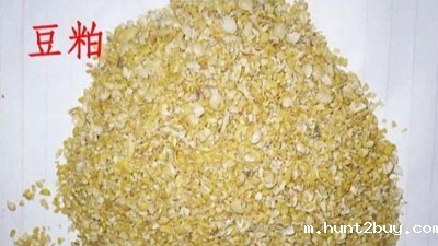 大豆粕生产大豆肽难过滤怎么办？