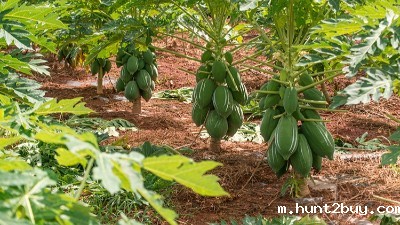 酶制剂创造“酶”好生活