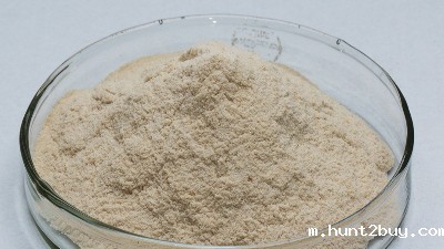 中性蛋白酶的作用和用途