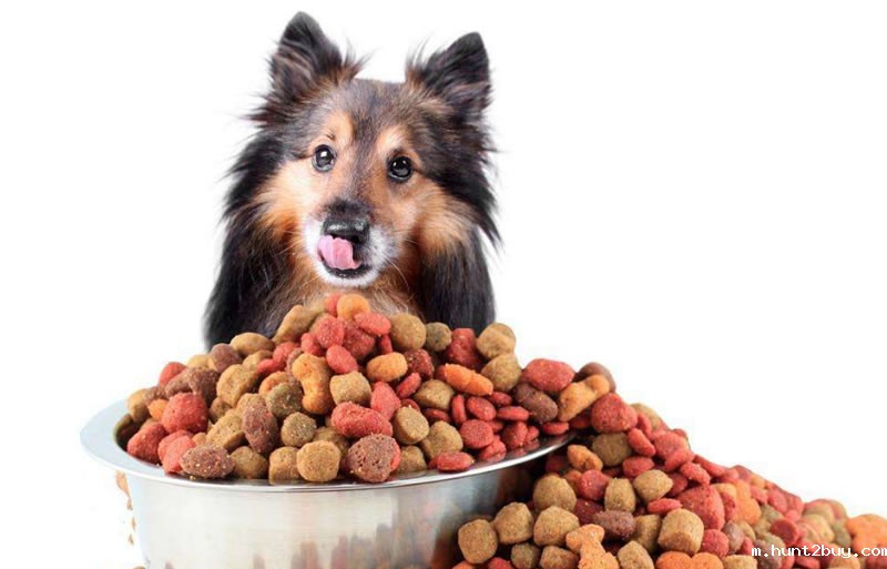 酶解鸡肝粉制备宠物诱食剂