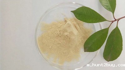 浅谈蛋白胨的不同分类及酶制剂的应用