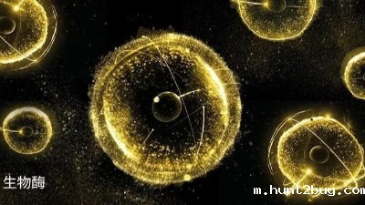 关于生物酶反应过程的故事