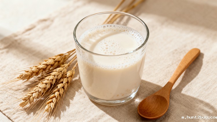 燕麦植物基饮料