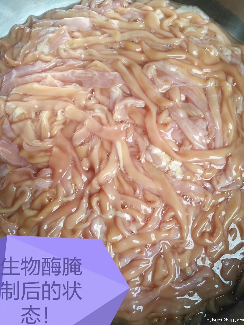 木瓜蛋白酶鸭肠粉