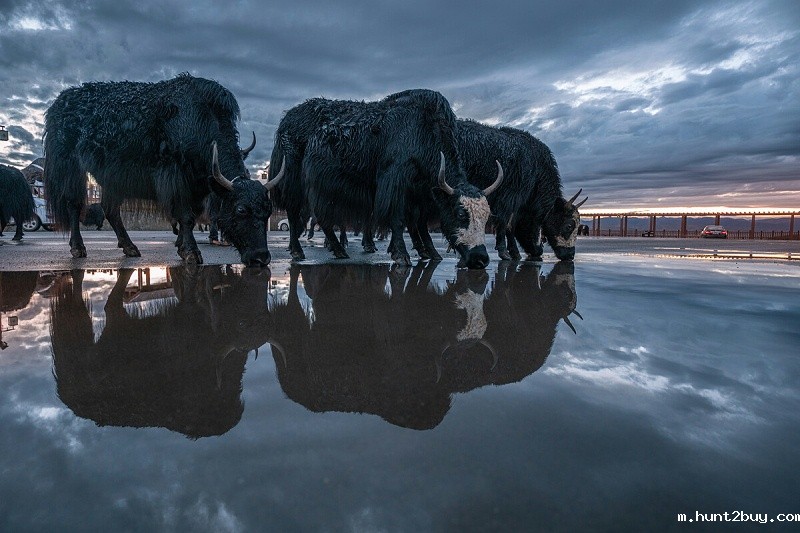 f7a2368352c29900be45a801b87ca1db