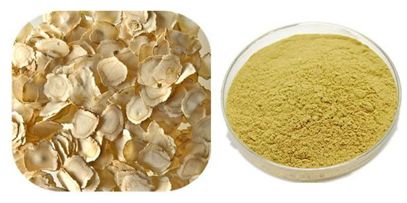 酶解西洋参制备西洋参提取物