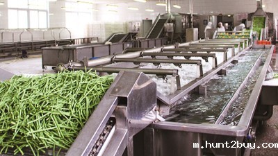 纤维素酶的主要作用领域