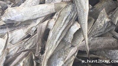 水解鱼皮做胶原蛋白肽有苦味，风味酶能去除苦味吗？