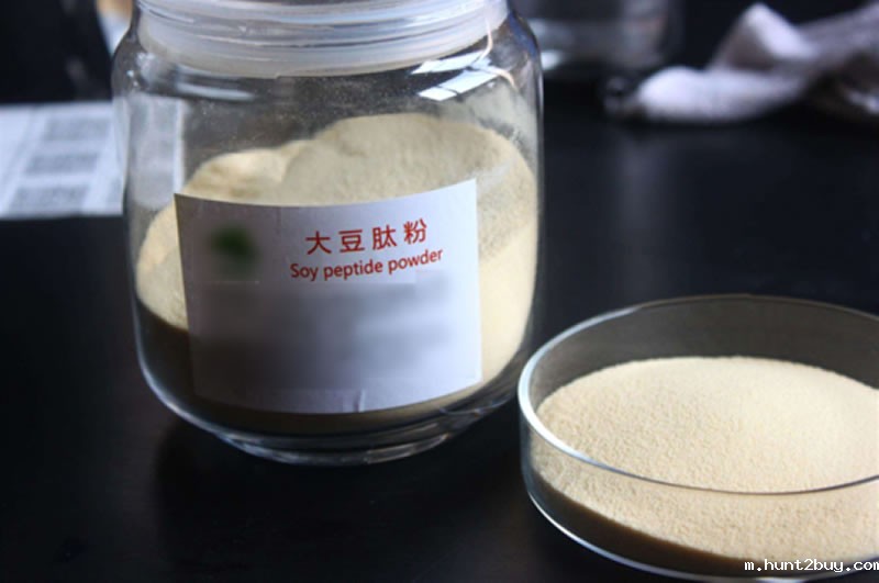 大豆肽粉
