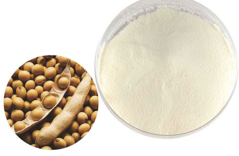 酶解大豆蛋白制备大豆蛋白肽