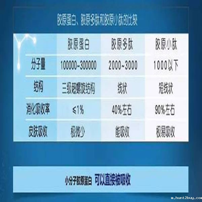 胶原原蛋白与胶原蛋白肽对比