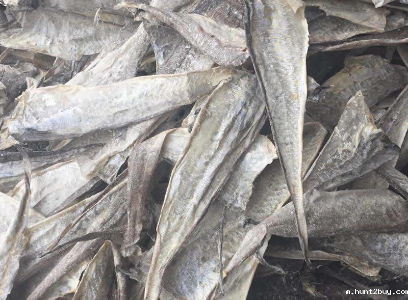 鳕鱼皮提取胶原蛋白肽