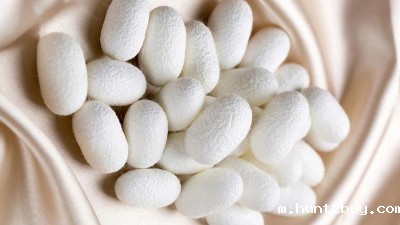 华体汇综合下载在蚕丝肽中的应用