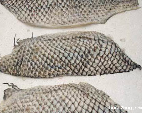 保健品肽类生产—酶制剂解决方案