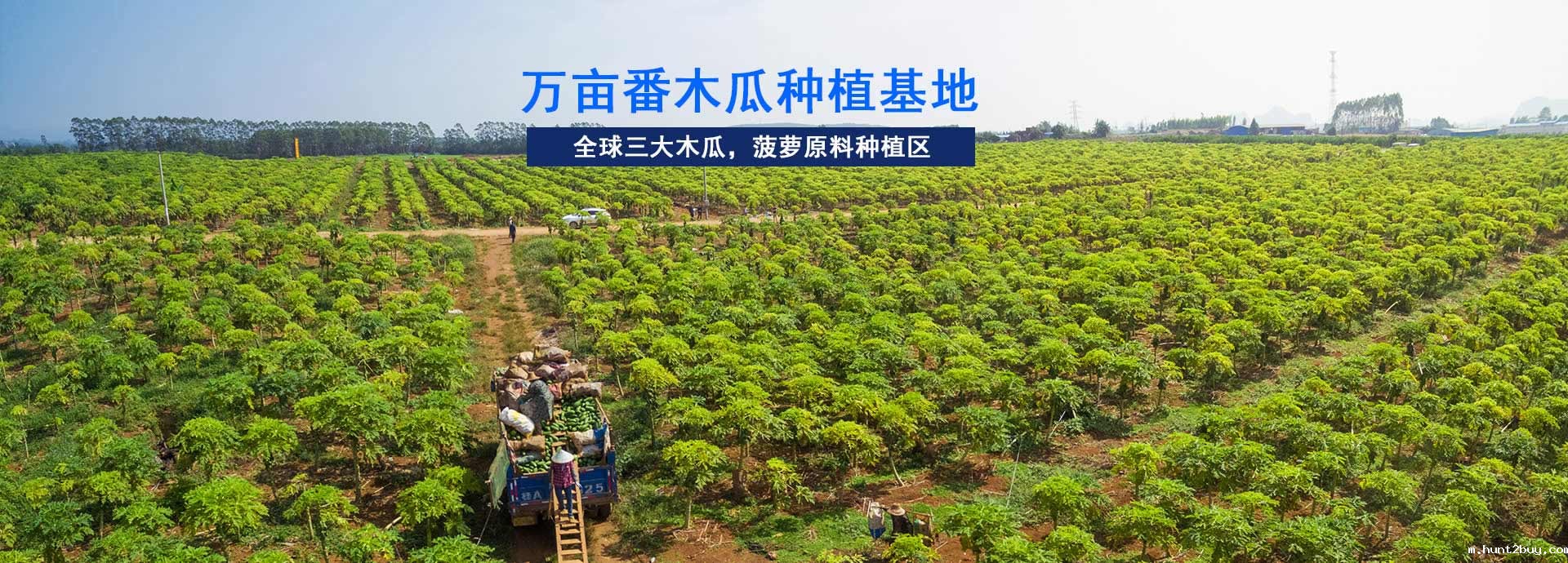 东恒华道-工业园占地5亩，生产车间10000㎡